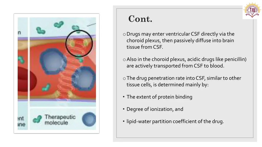 slide16