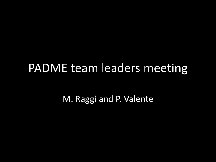 padme team leaders meeting