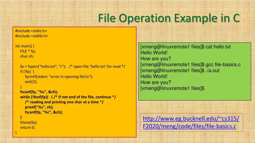 file operation example in c