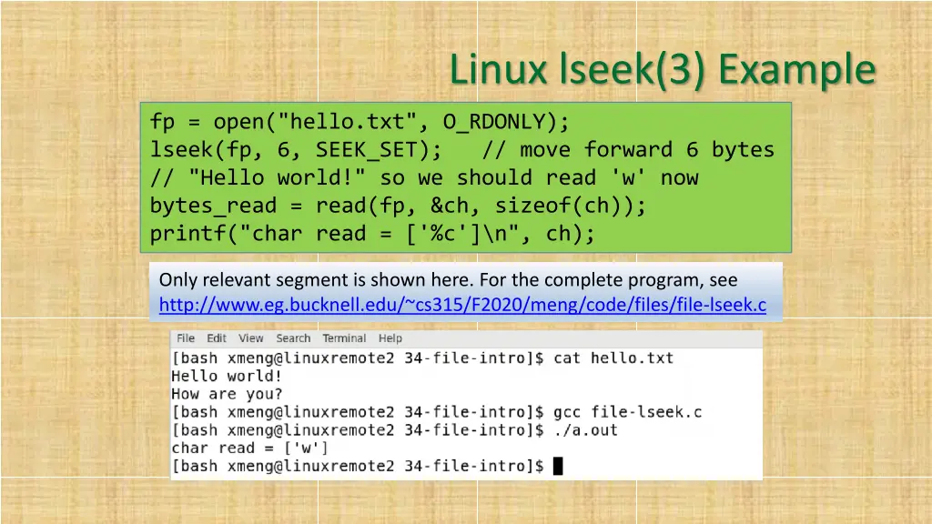 linux lseek 3 example