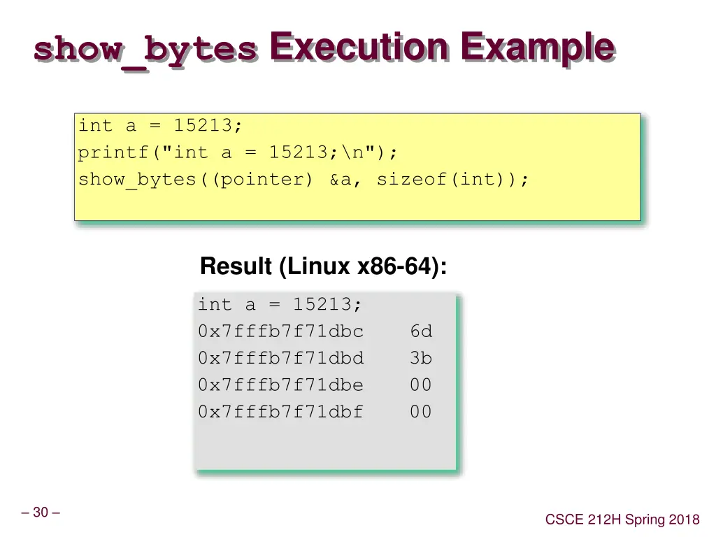 show bytes execution example