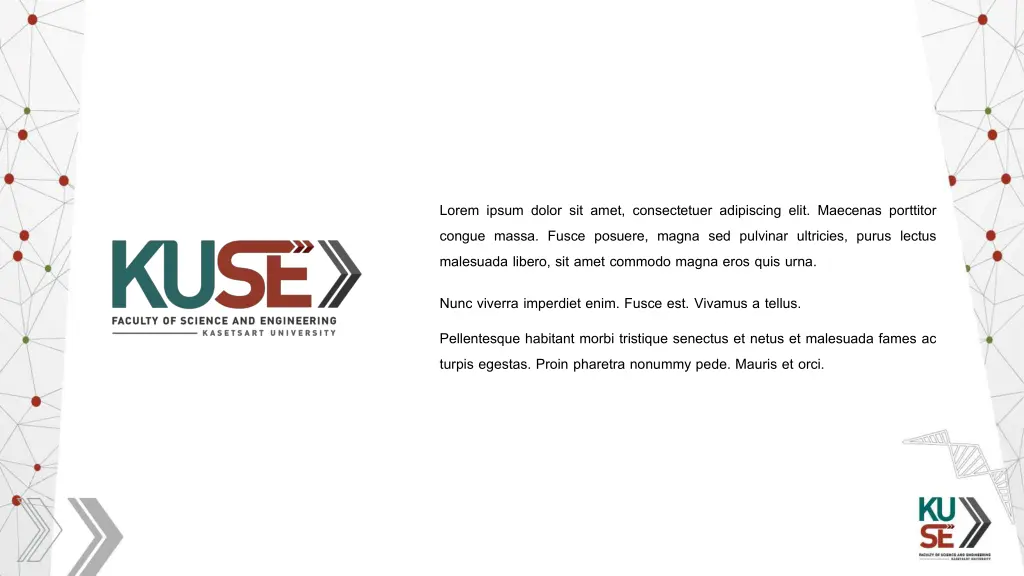 lorem ipsum dolor sit amet consectetuer