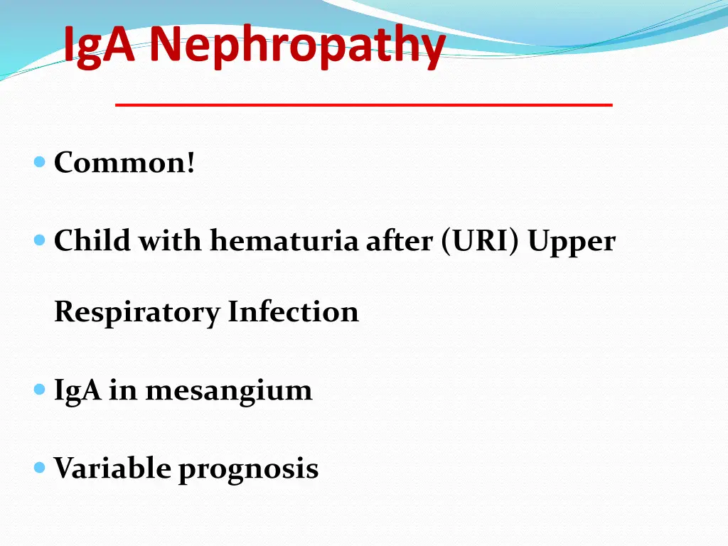 iga nephropathy