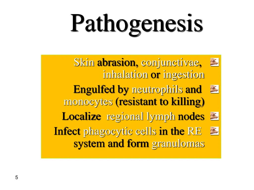 pathogenesis