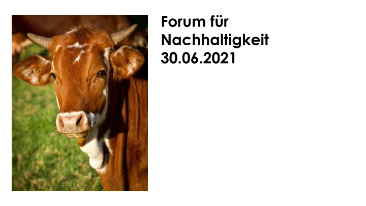 forum f r nachhaltigkeit 30 06 2021