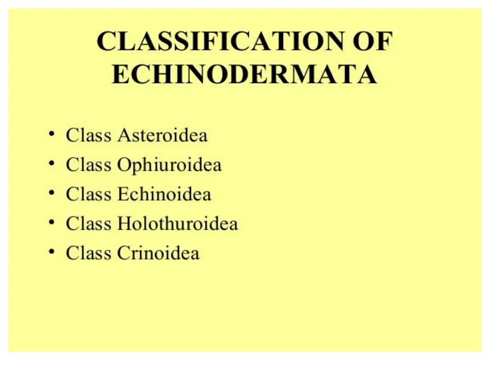 slide2