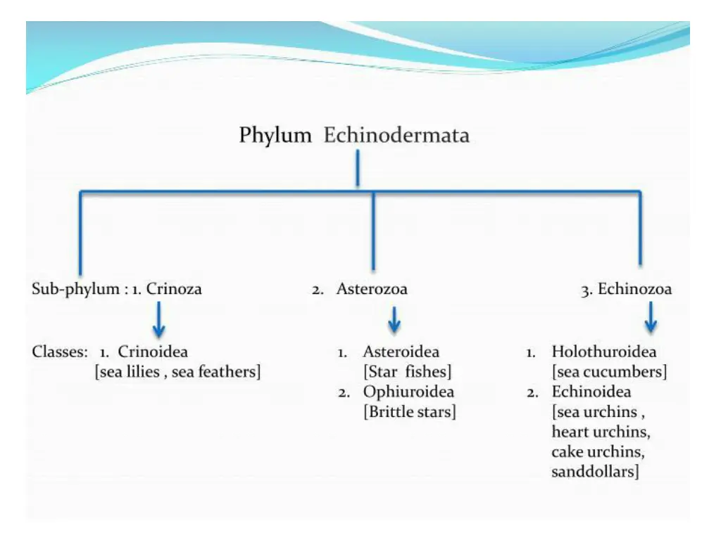 slide3