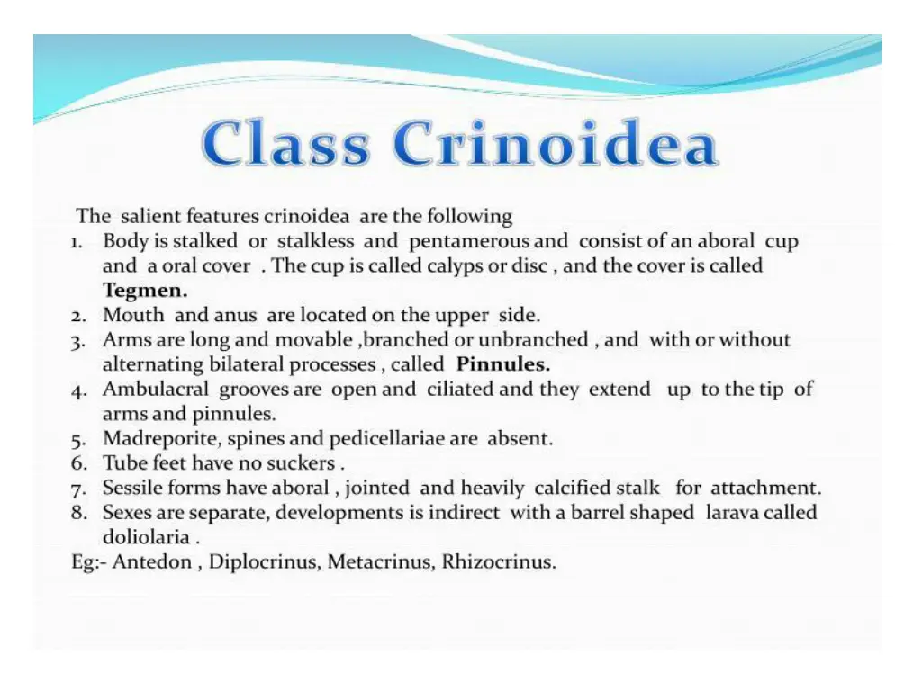 slide5