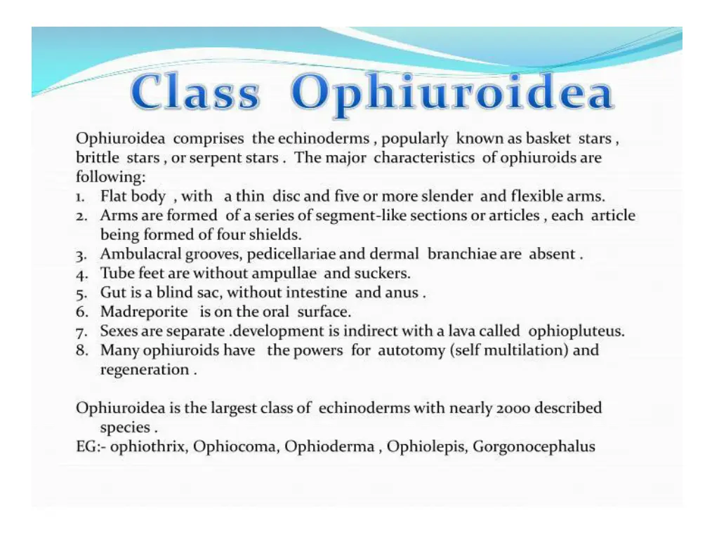 slide7