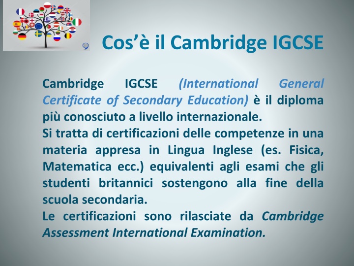 cos il cambridge igcse