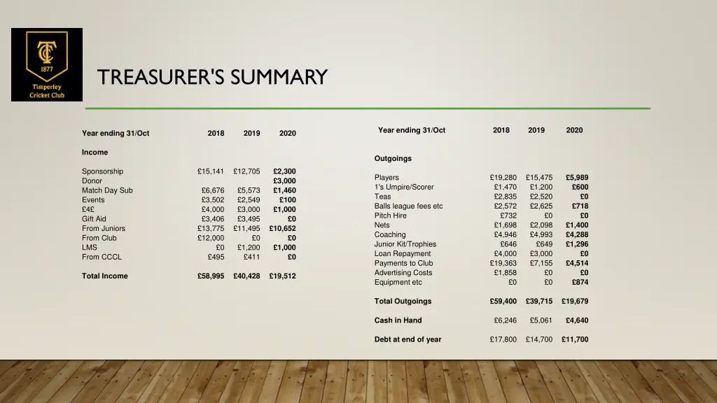 treasurer s summary