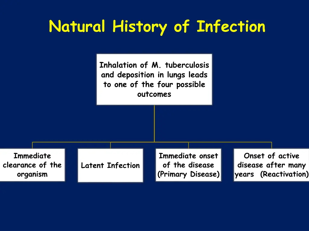natural history of infection