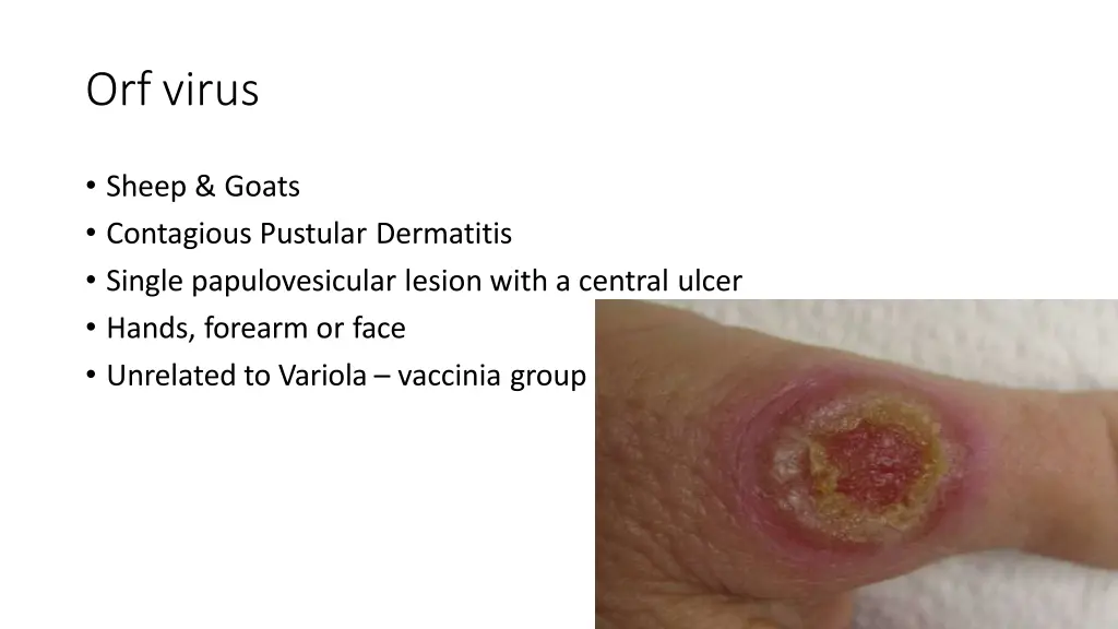 orf virus