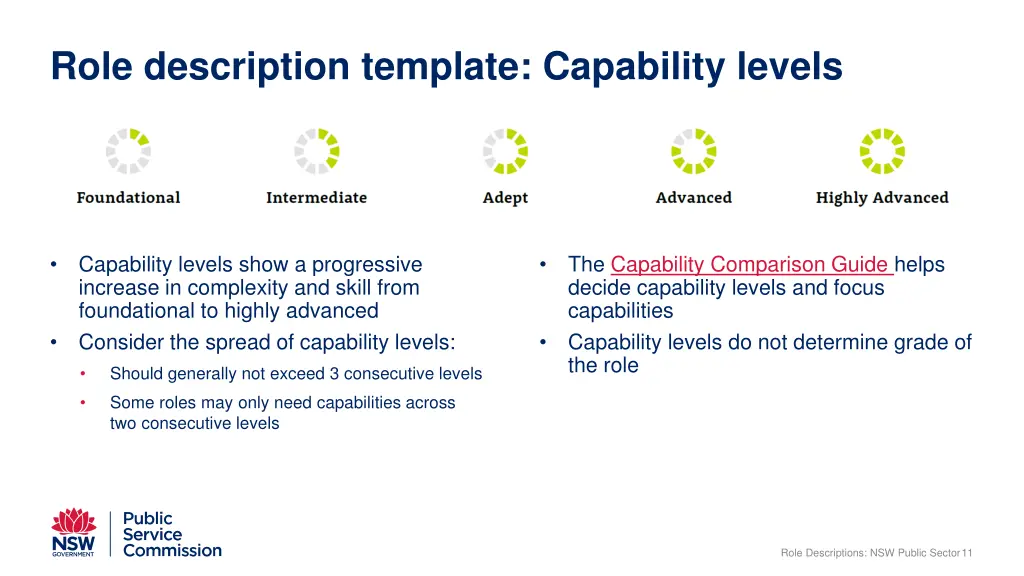 role description template capability levels