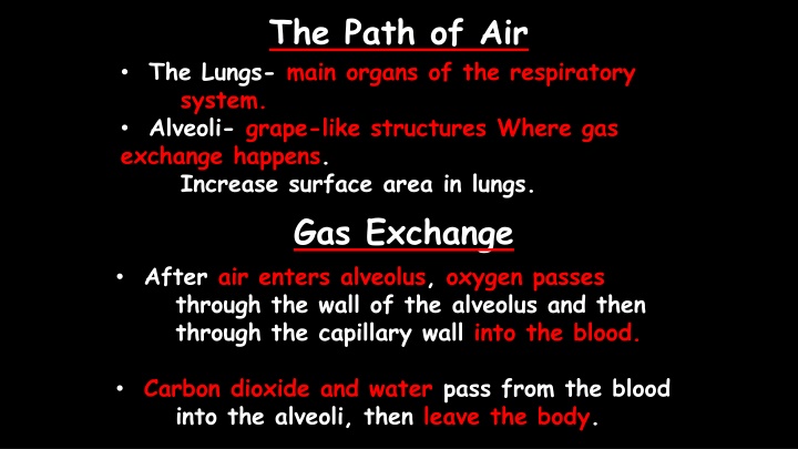 the path of air