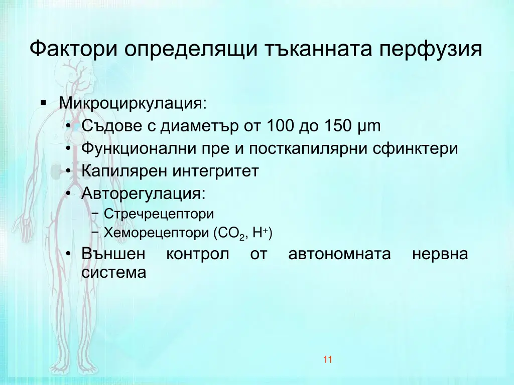 slide11