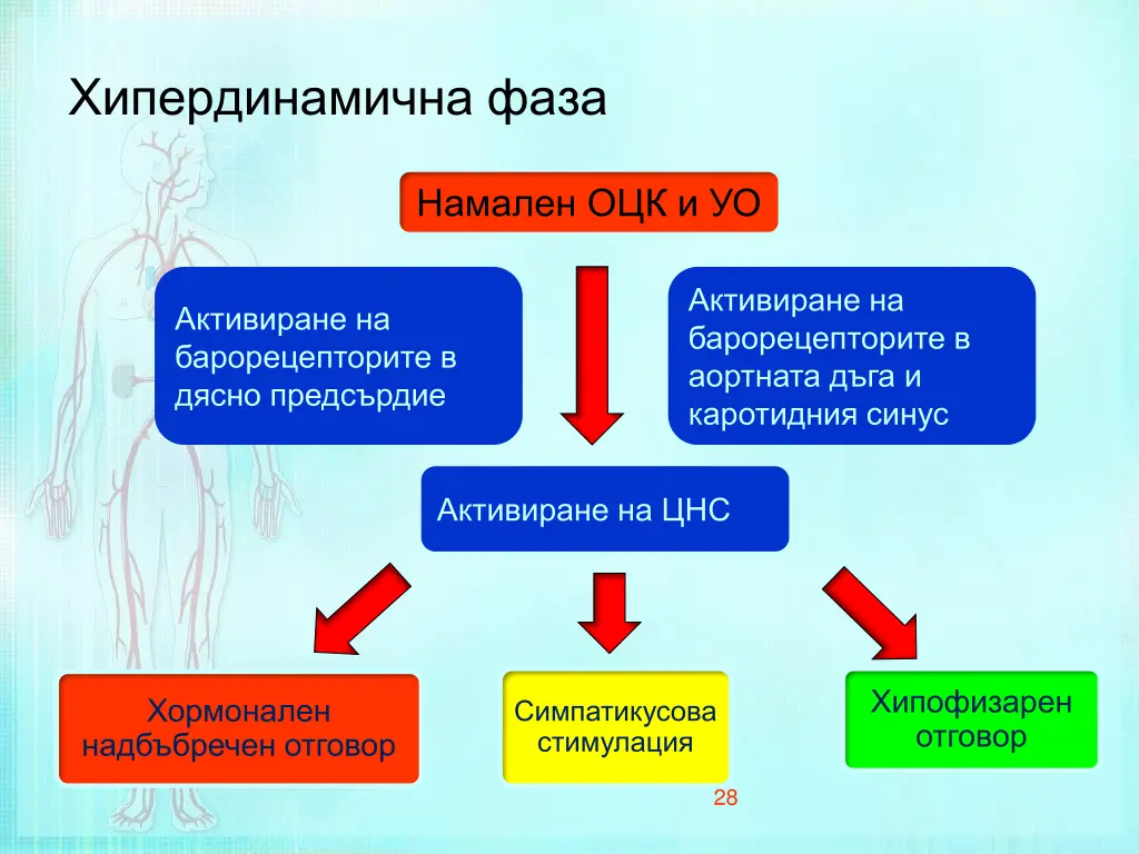 slide28
