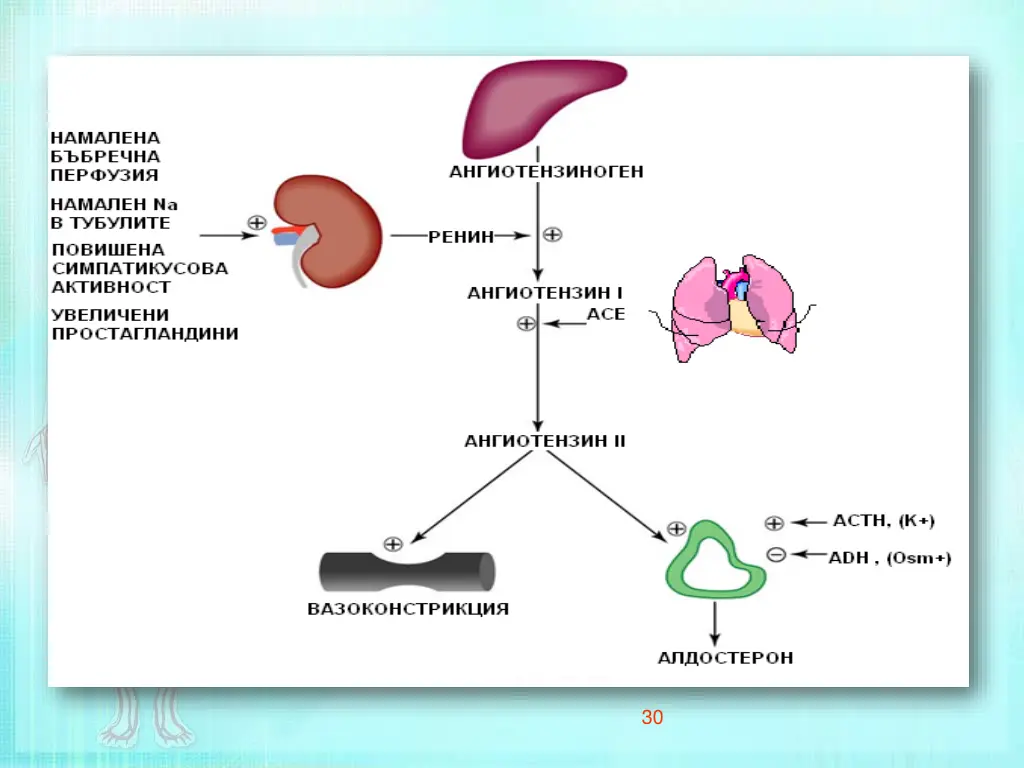 slide30