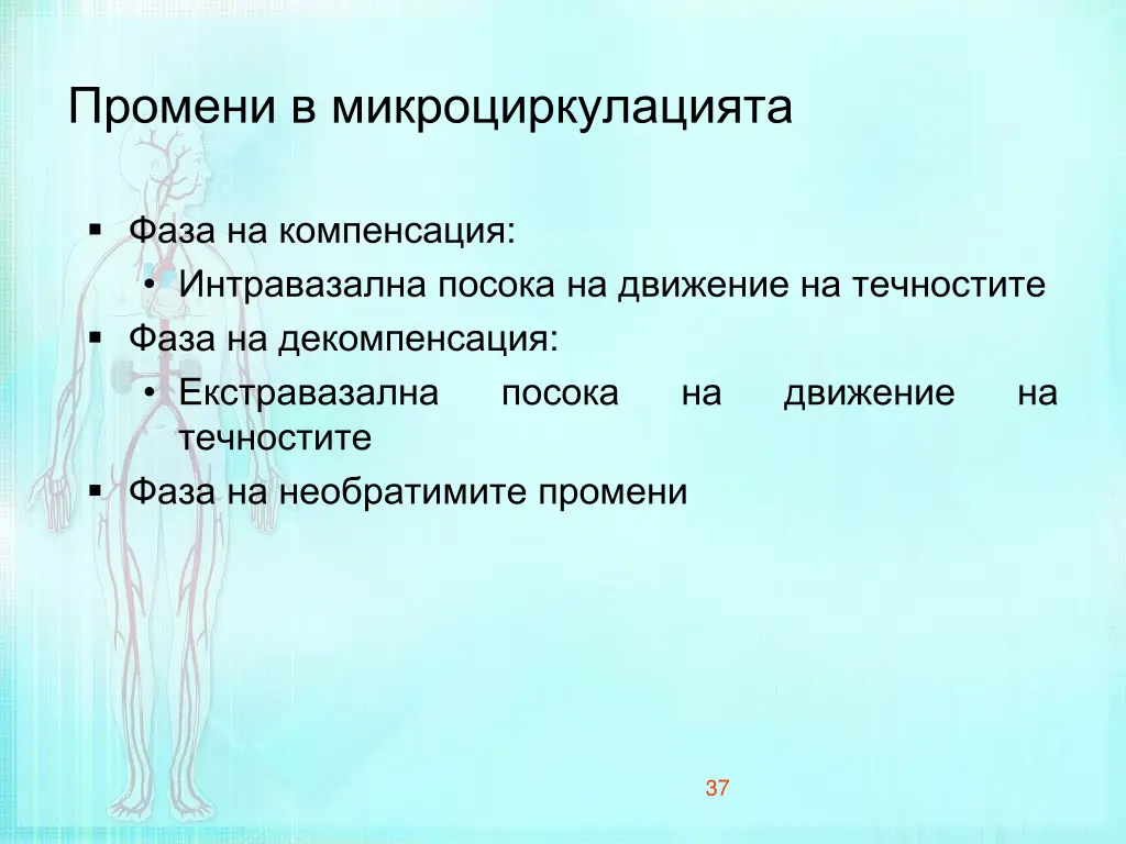 slide37