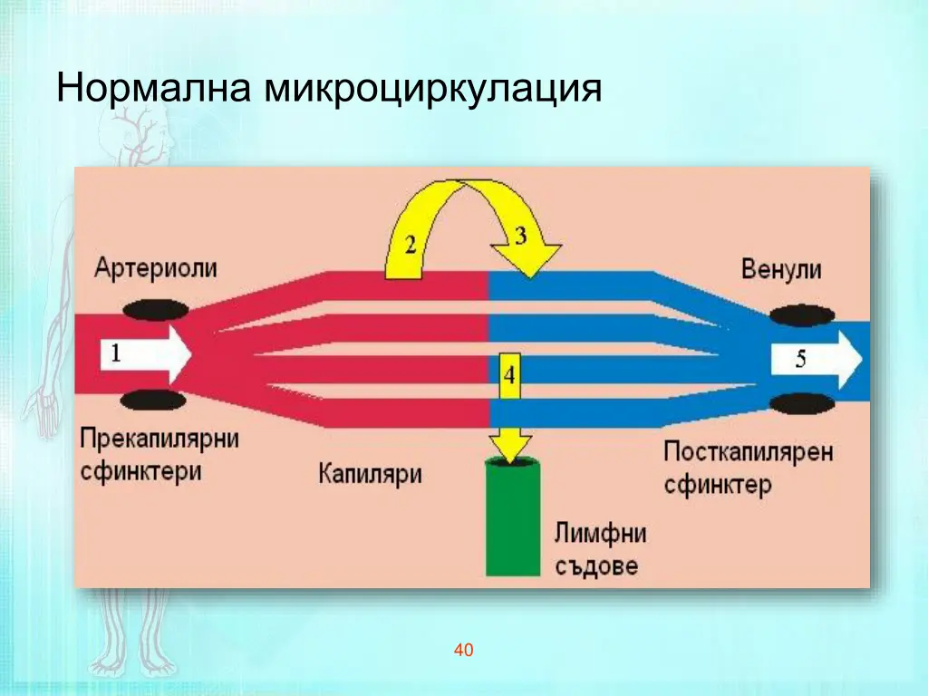 slide40