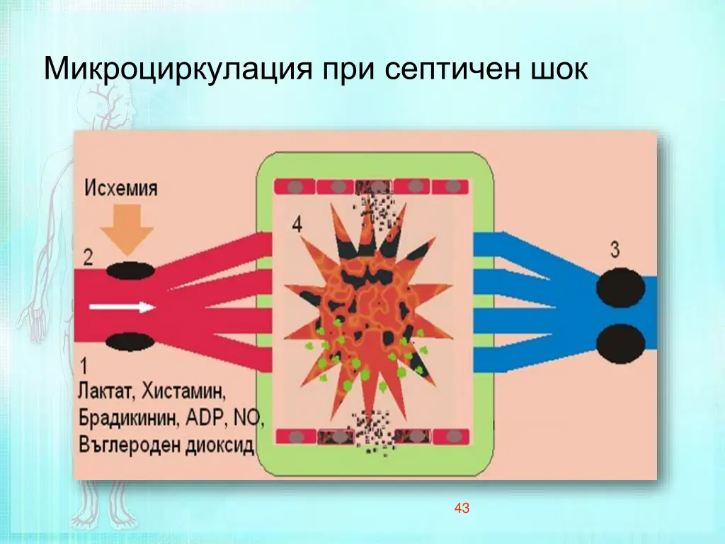 slide43