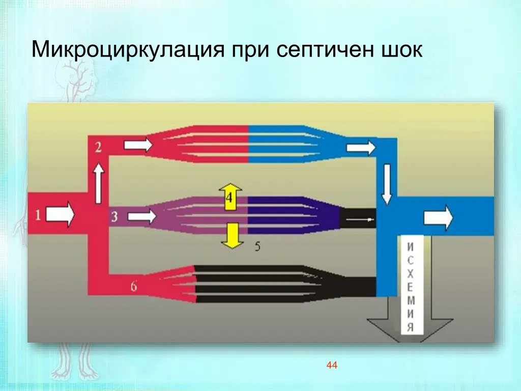 slide44