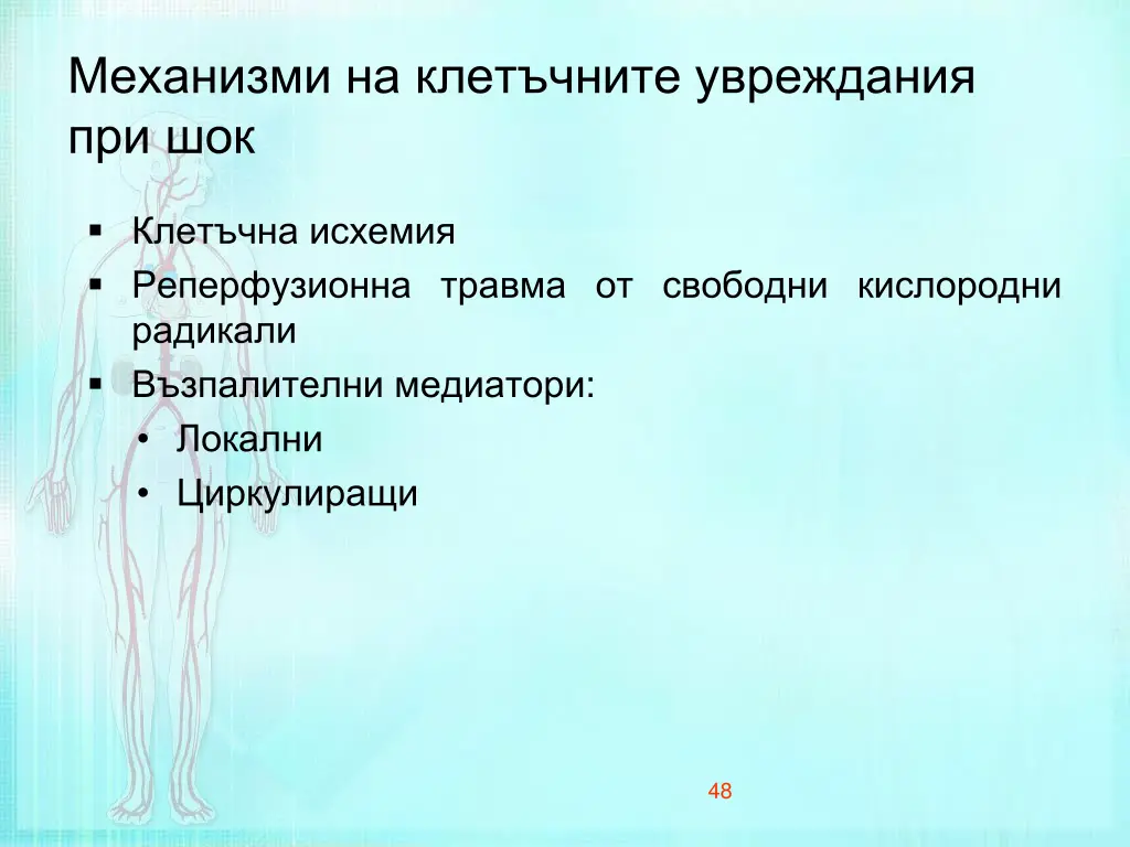 slide48