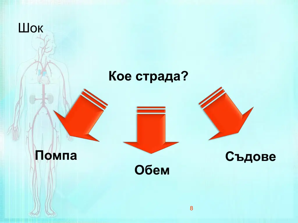 slide8