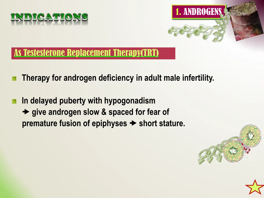 1 androgens 1