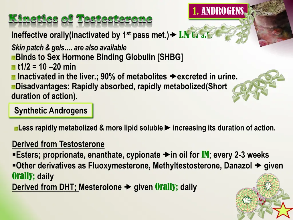 1 androgens
