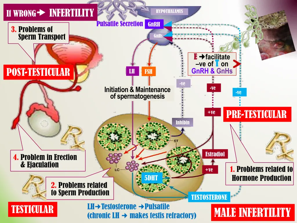 if wrong infertility