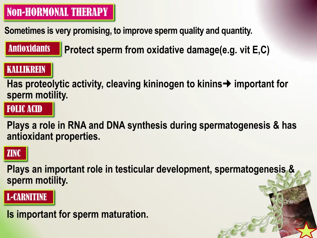 non hormonal therapy