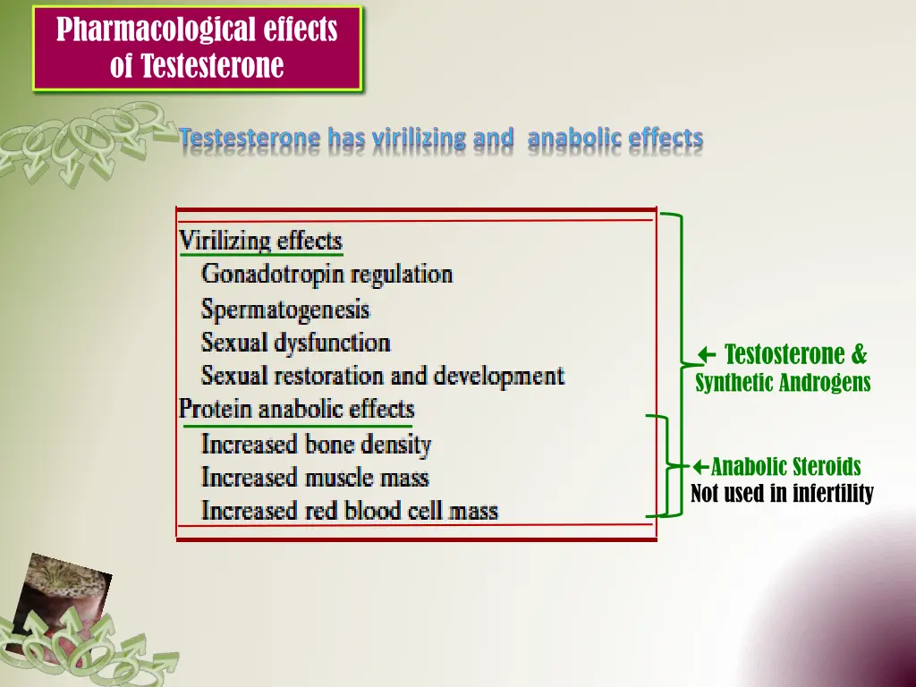 pharmacological effects of testesterone