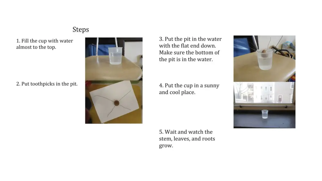 slide4
