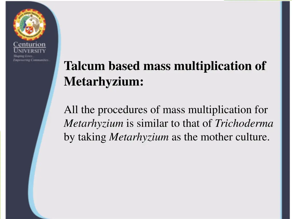talcum based mass multiplication of metarhyzium
