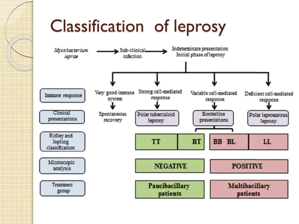 classification of leprosy 1