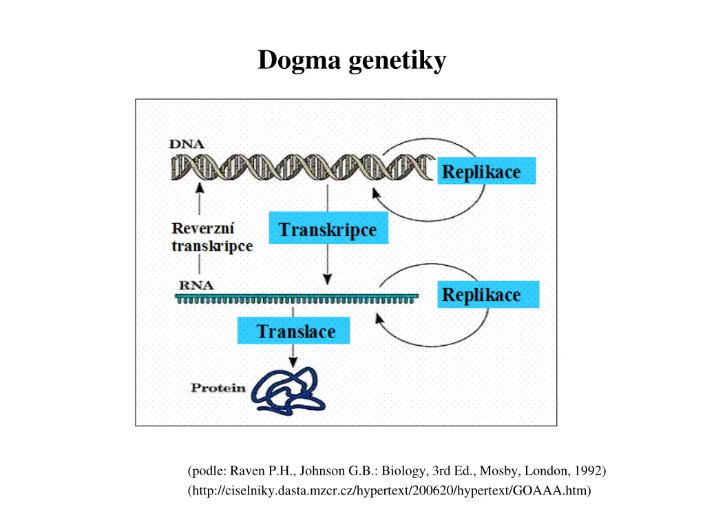 dogma genetiky
