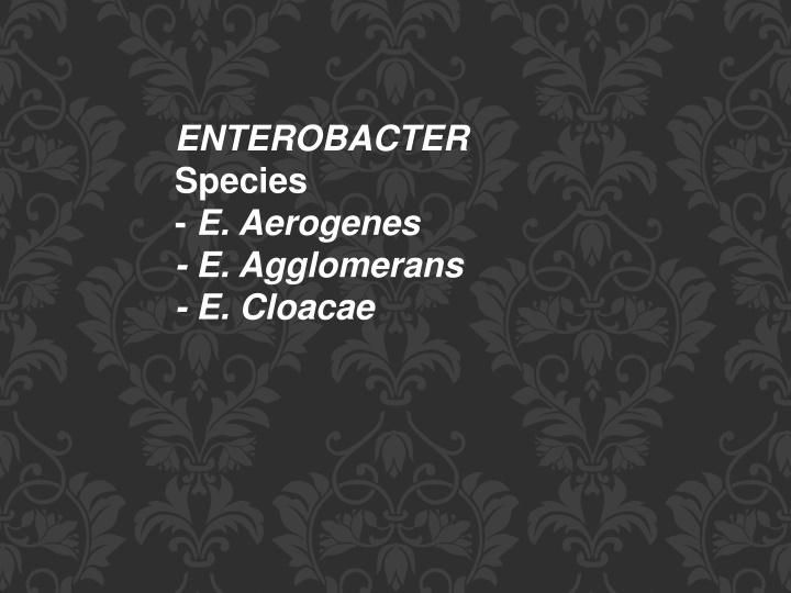 enterobacter species e aerogenes e agglomerans