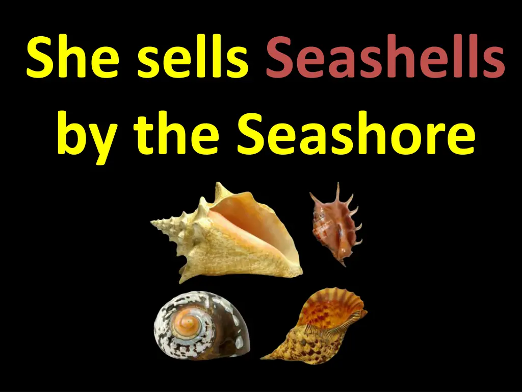 she sells seashells by the seashore 3