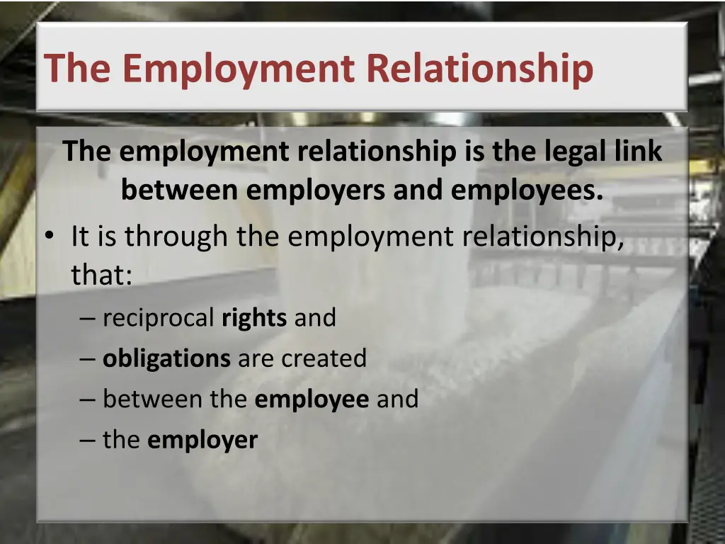 the employment relationship