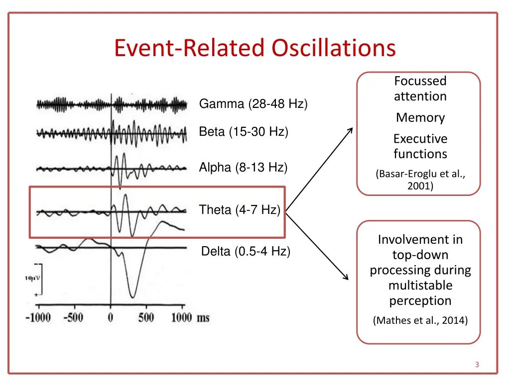 event related oscillations