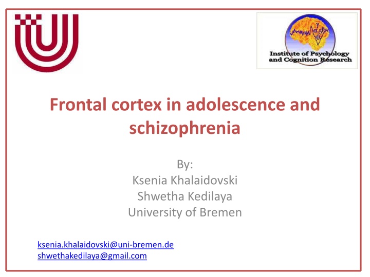 frontal cortex in adolescence and schizophrenia