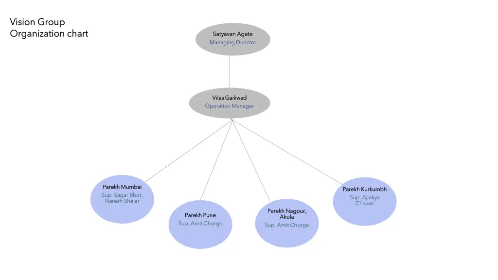 vision group vision group organization chart 1