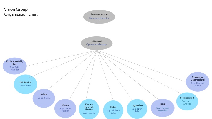 vision group vision group organization chart