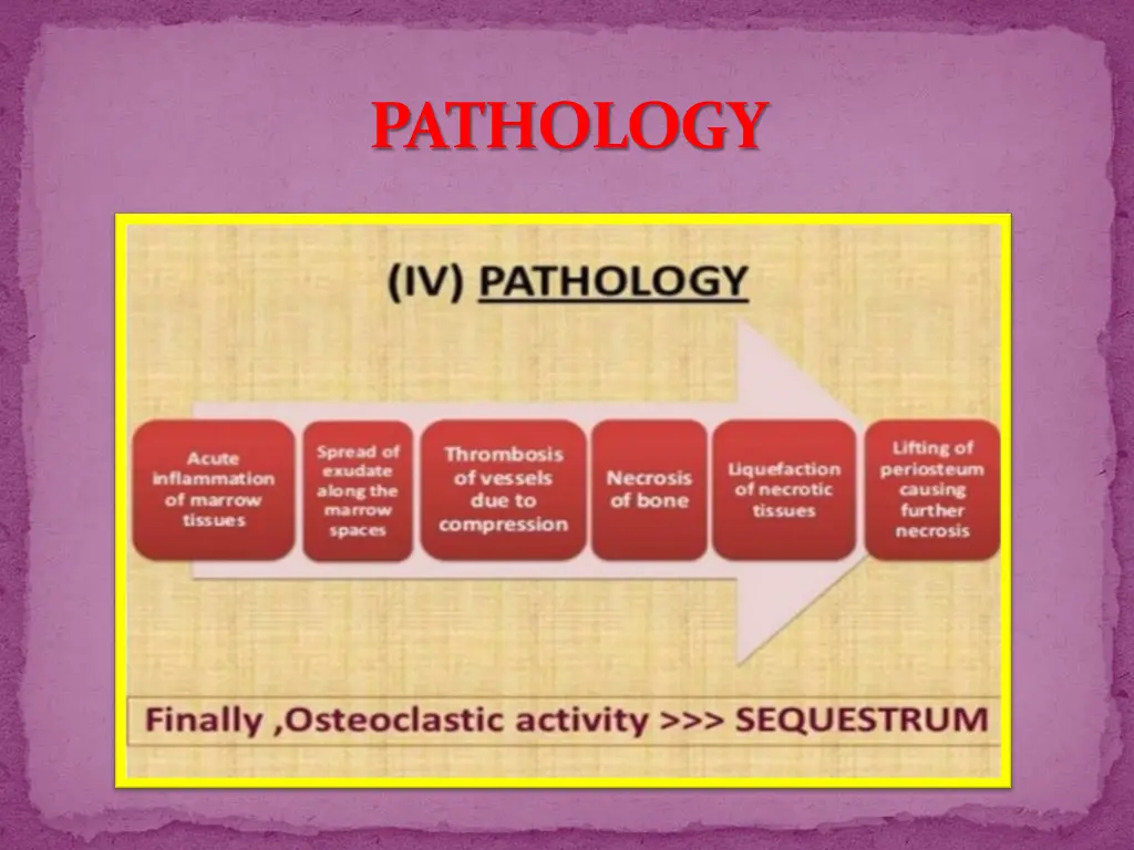 pathology