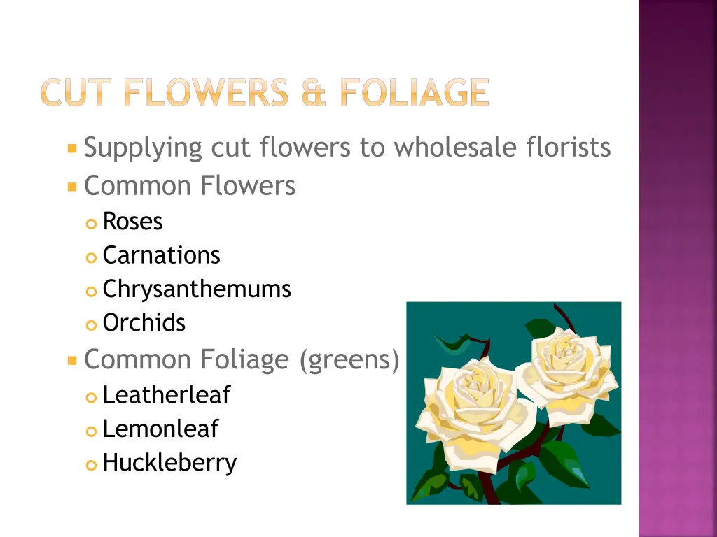 cut flowers foliage