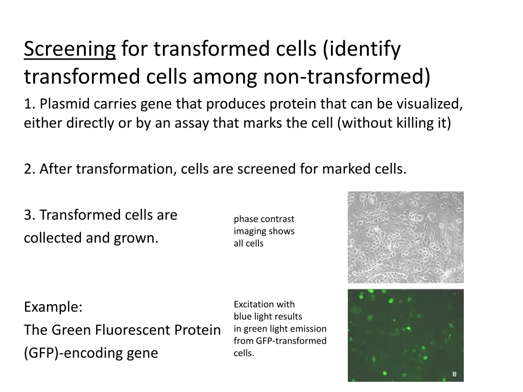 screening for transformed cells identify