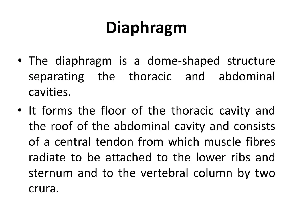 diaphragm