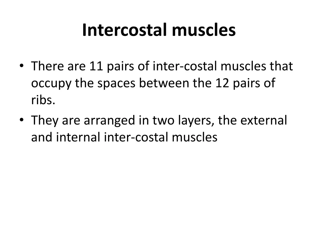 intercostal muscles