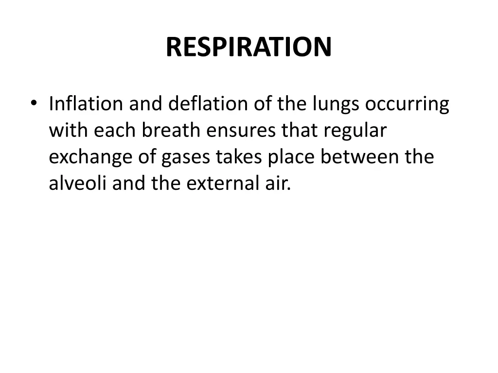 respiration 1